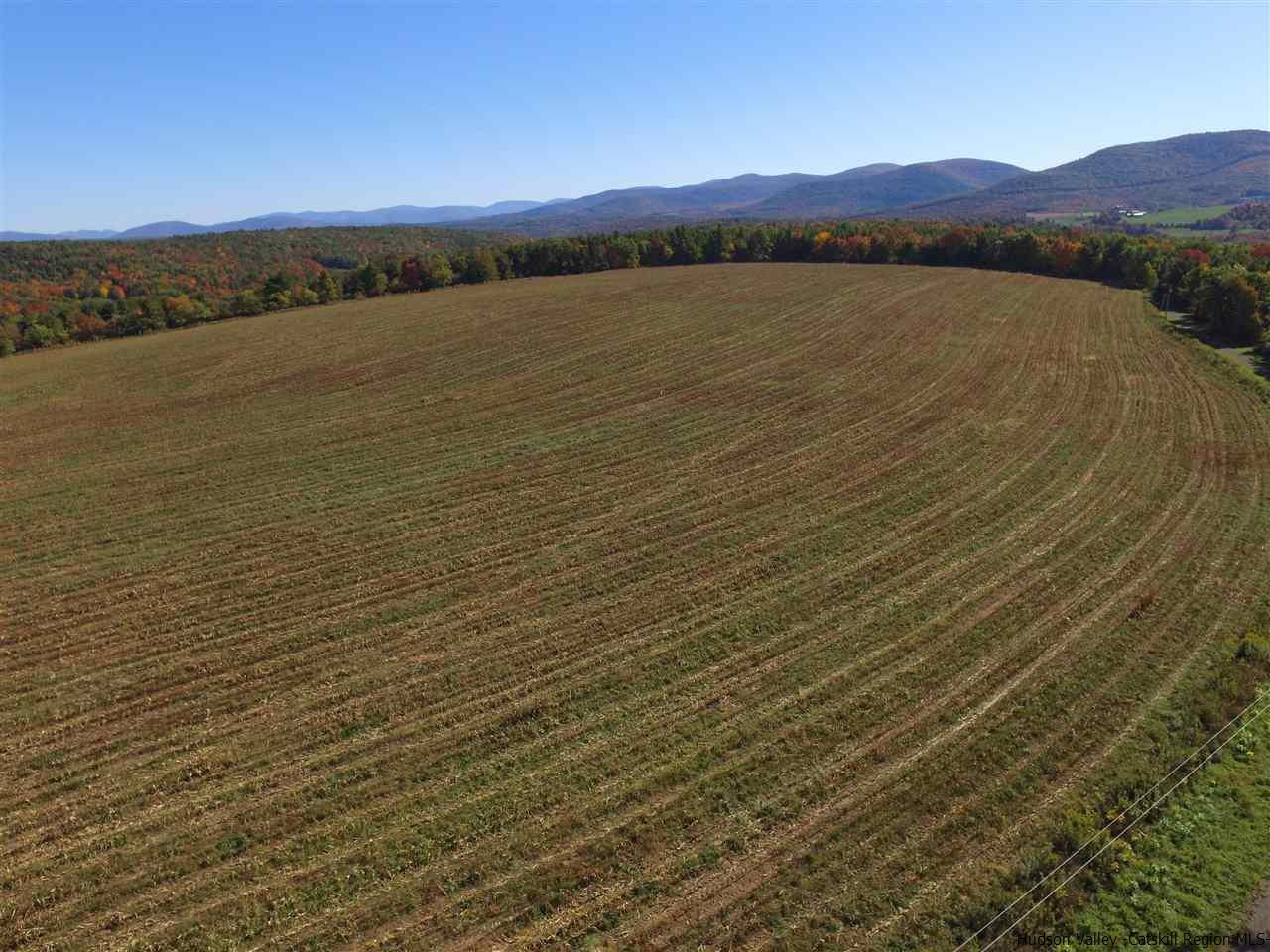 268 Todd Road Gilboa, NY 12167 - Photo 3 of 26 Photo 3