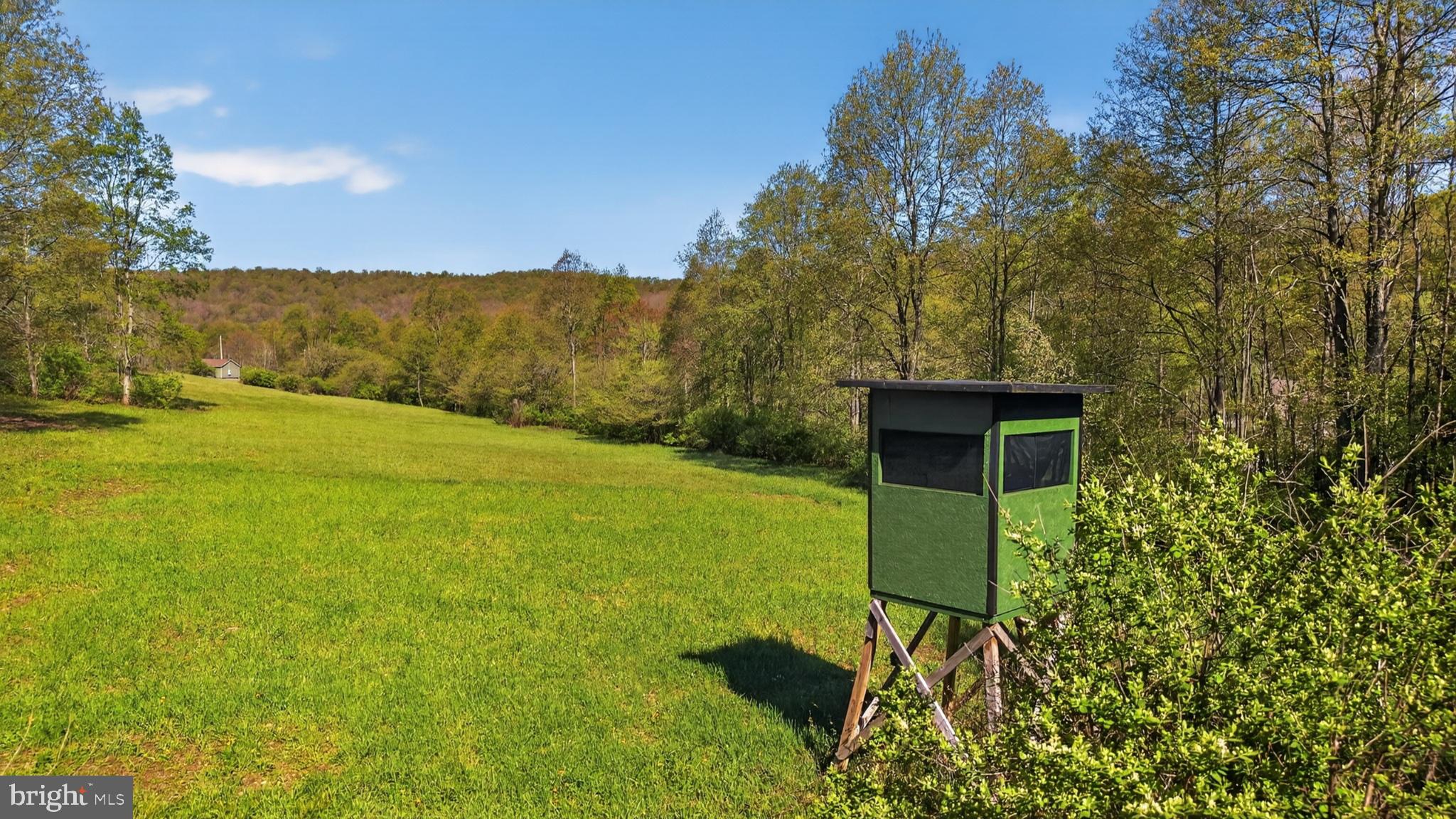 259 A A-Frame Road Coudersport, PA 16915 - Photo 101 of 130 Serene hunting lodge in lush greenery.