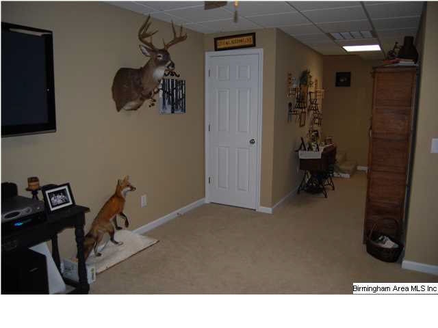 1536 Rochester Road Jacksonville, AL 36265 - Photo 25 of 32 Gallery Image 25