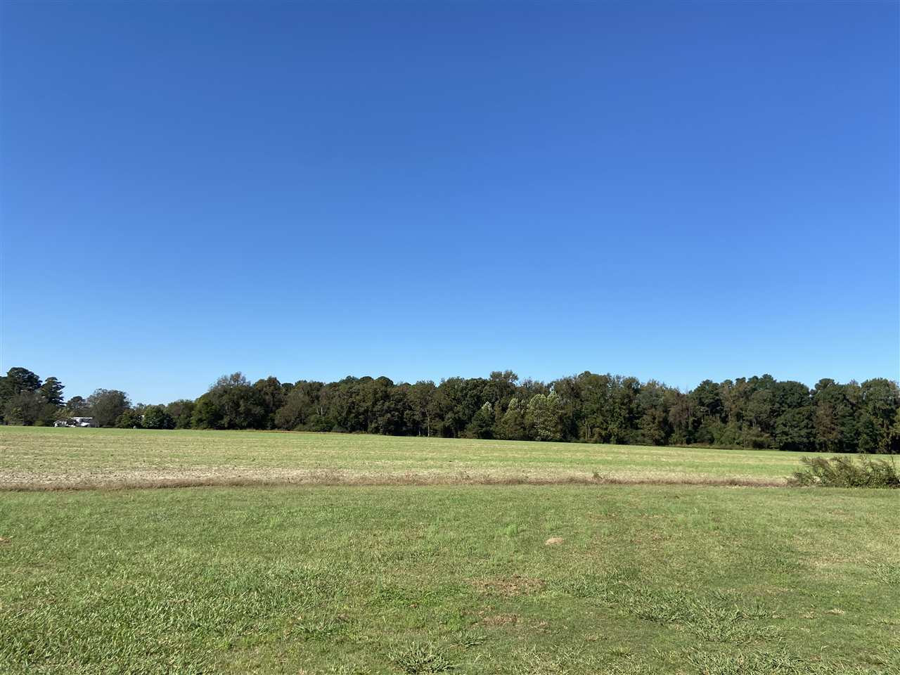 Brogden Road Smithfield, NC 27577 - Photo 2 of 3 Photo 2