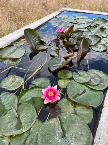 $672,000 | 7302 Long Hollow Road, Colfax, WA 99111