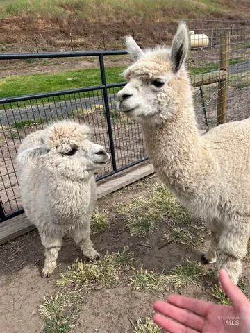 $672,000 | 7302 Long Hollow Road, Colfax, WA 99111