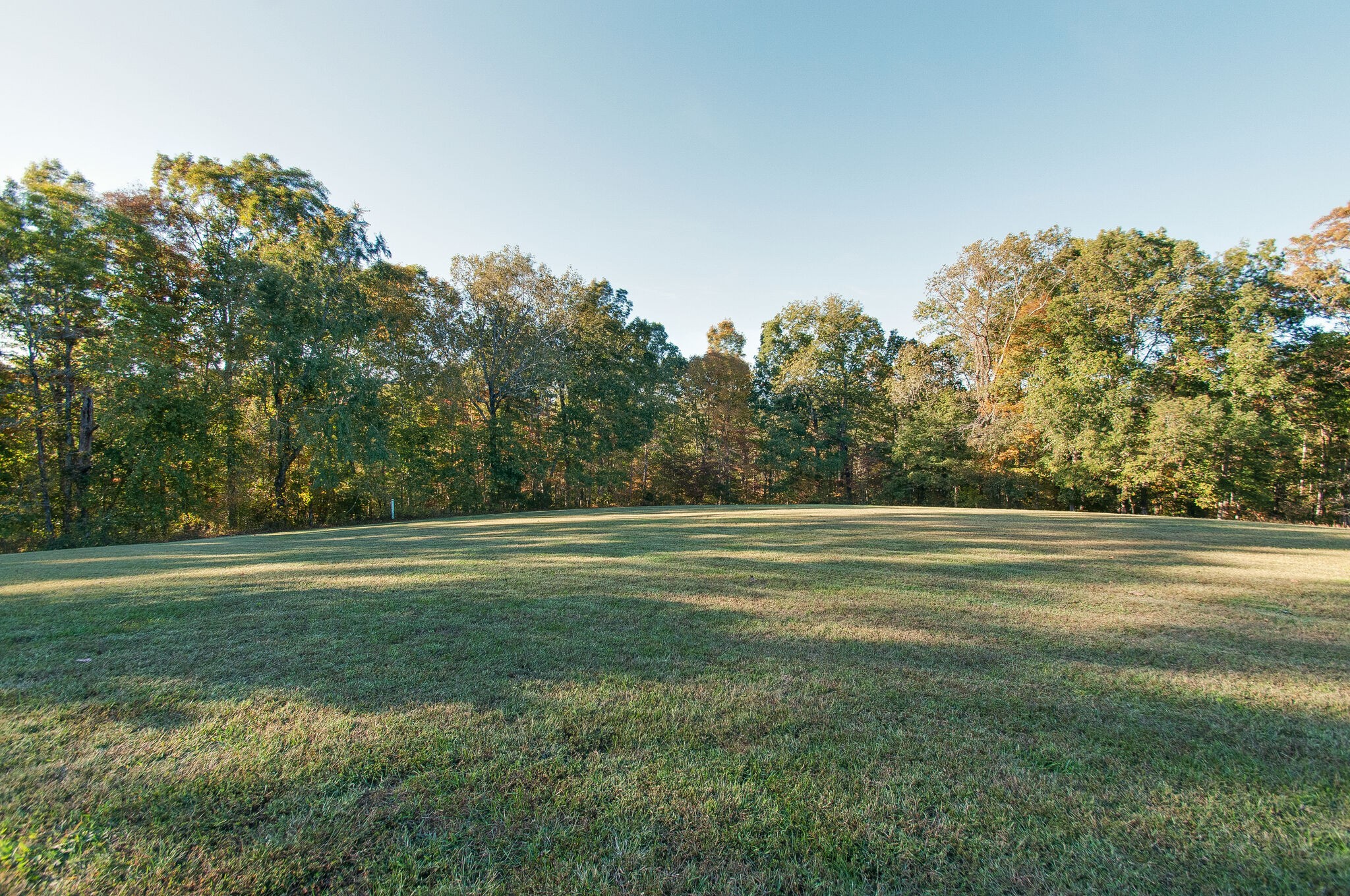 1230 Grindstone Hollow Road Dickson, TN 37055 - Photo 35 of 50 a view of outdoor space with green field and trees all around