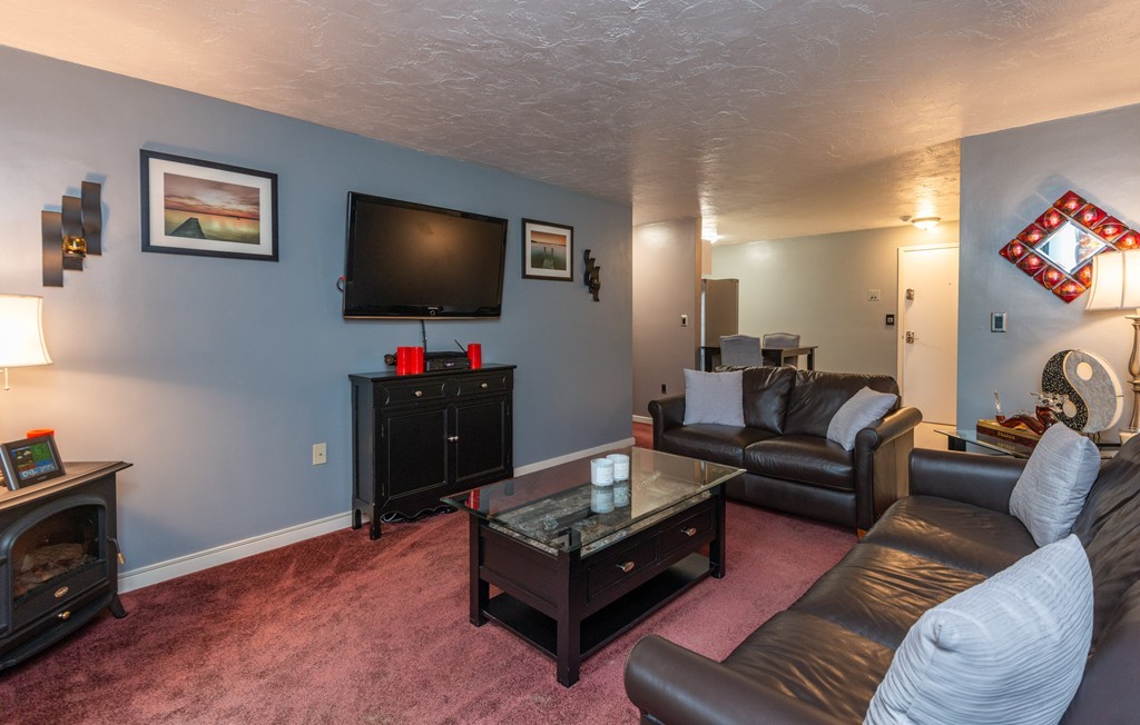 189 Littleton Road, Unit 19 Chelmsford, MA 01824 - Photo 21 of 42 a living room with furniture and a flat screen tv
