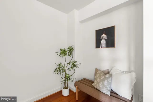 a room with a table and a potted plant