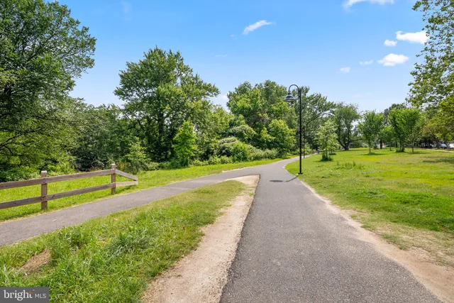a view of park with large trees