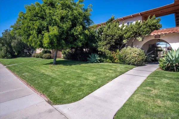 a view of a backyard with potted plants and large trees