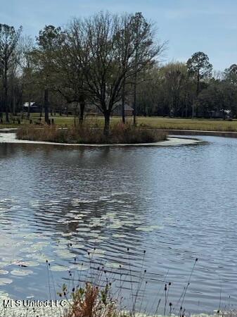 12775 Highway 613 Moss Point, MS 39562 - Photo 28 of 29 E2593A23-B8E9-467E-A4BB-DE7945257455_4_5