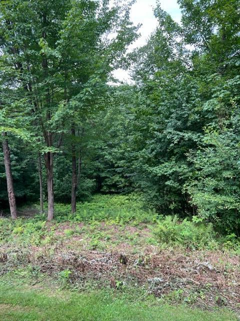 73 Brick Church Road Malone, NY 12953 - Photo 68 of 69 Gallery Image 68