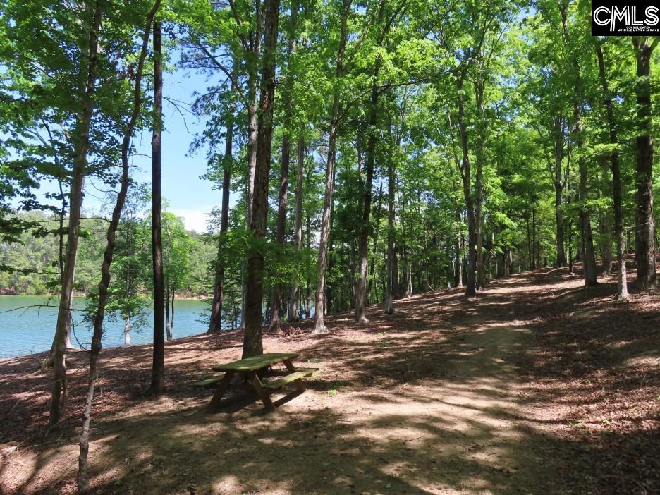 201 State Rd S-20-99 Blair, SC 29015 - Photo 44 of 61