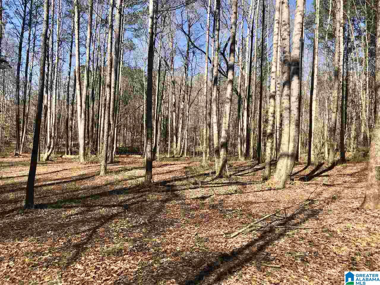 Campbell Street, Unit 1 Heflin, AL 36264 - Photo 5 of 15