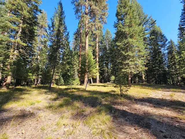 $695,000 | 1367 Pinehurst Boulevard, Unit 15B, McCall, ID 83638