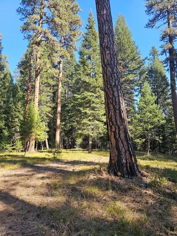 $695,000 | 1367 Pinehurst Boulevard, Unit 15B, McCall, ID 83638