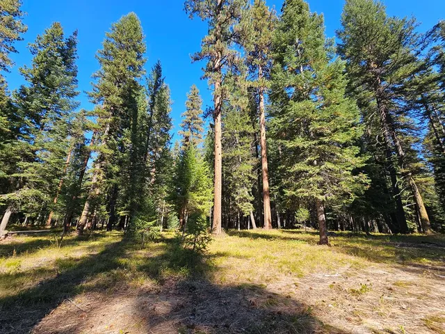 $695,000 | 1367 Pinehurst Boulevard, Unit 15B, McCall, ID 83638