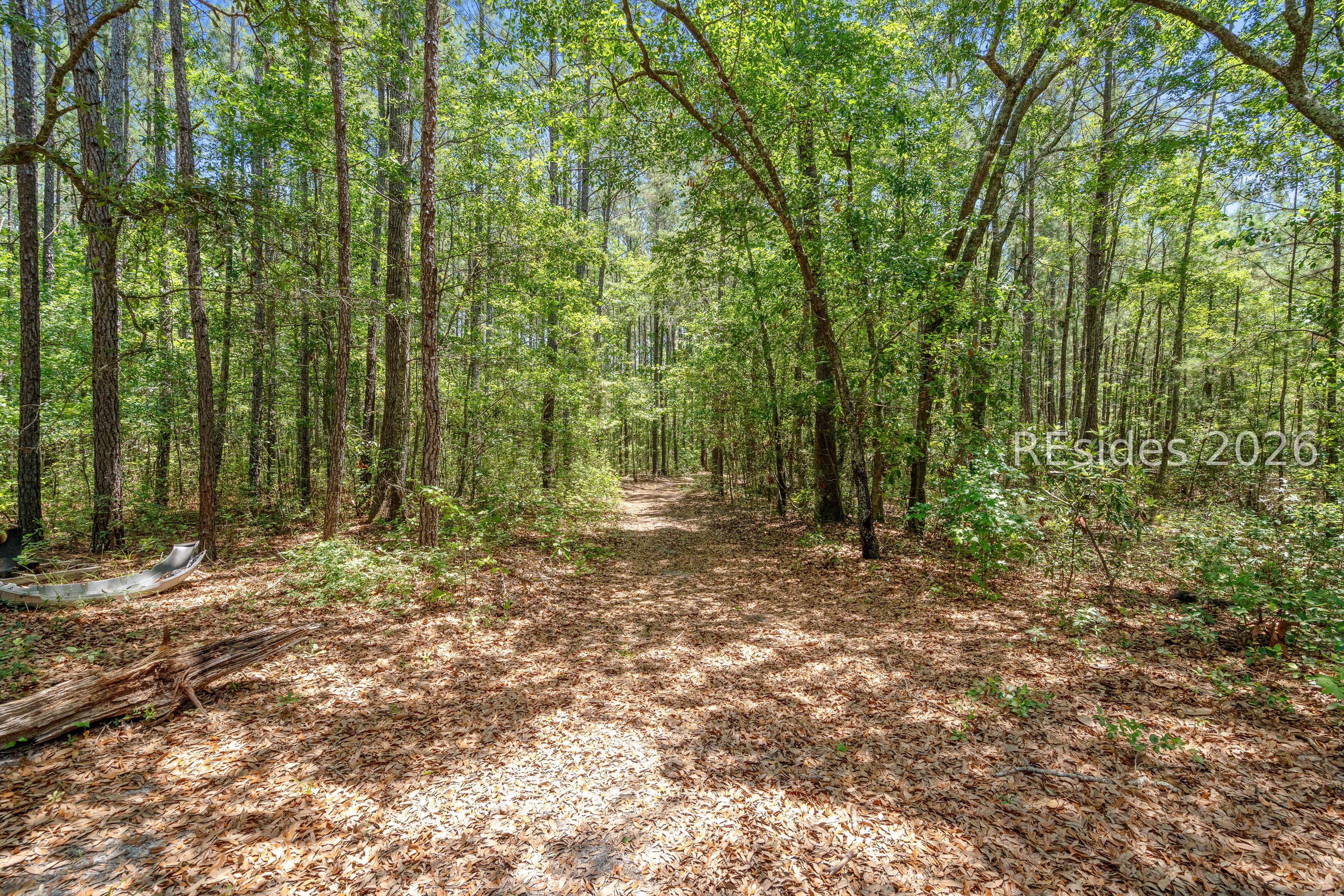 3958 Pineland Road Varnville, SC 29944 - Photo 44 of 55