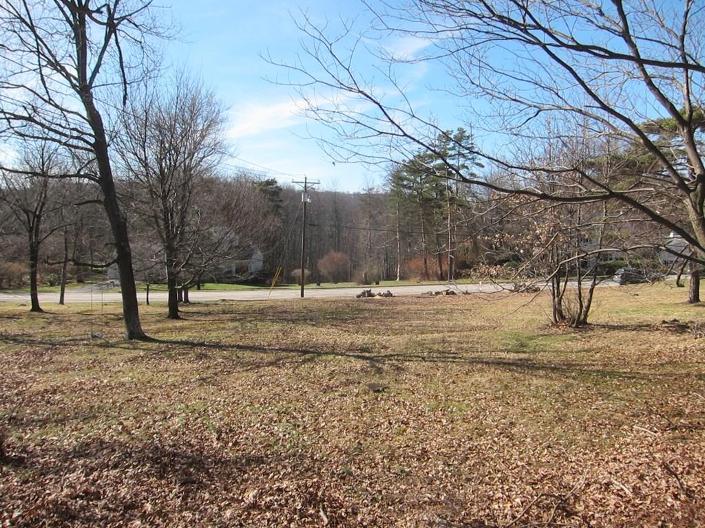 815 White Farm Road Indiana, PA 15701 - Photo 9 of 9 Yard