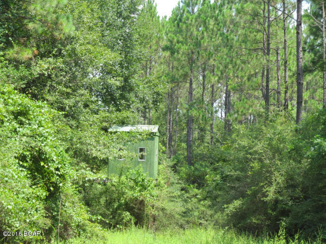 294 Creek Ranch Road DeFuniak Springs, FL 32435 - Photo 8 of 24 Gallery Image 8