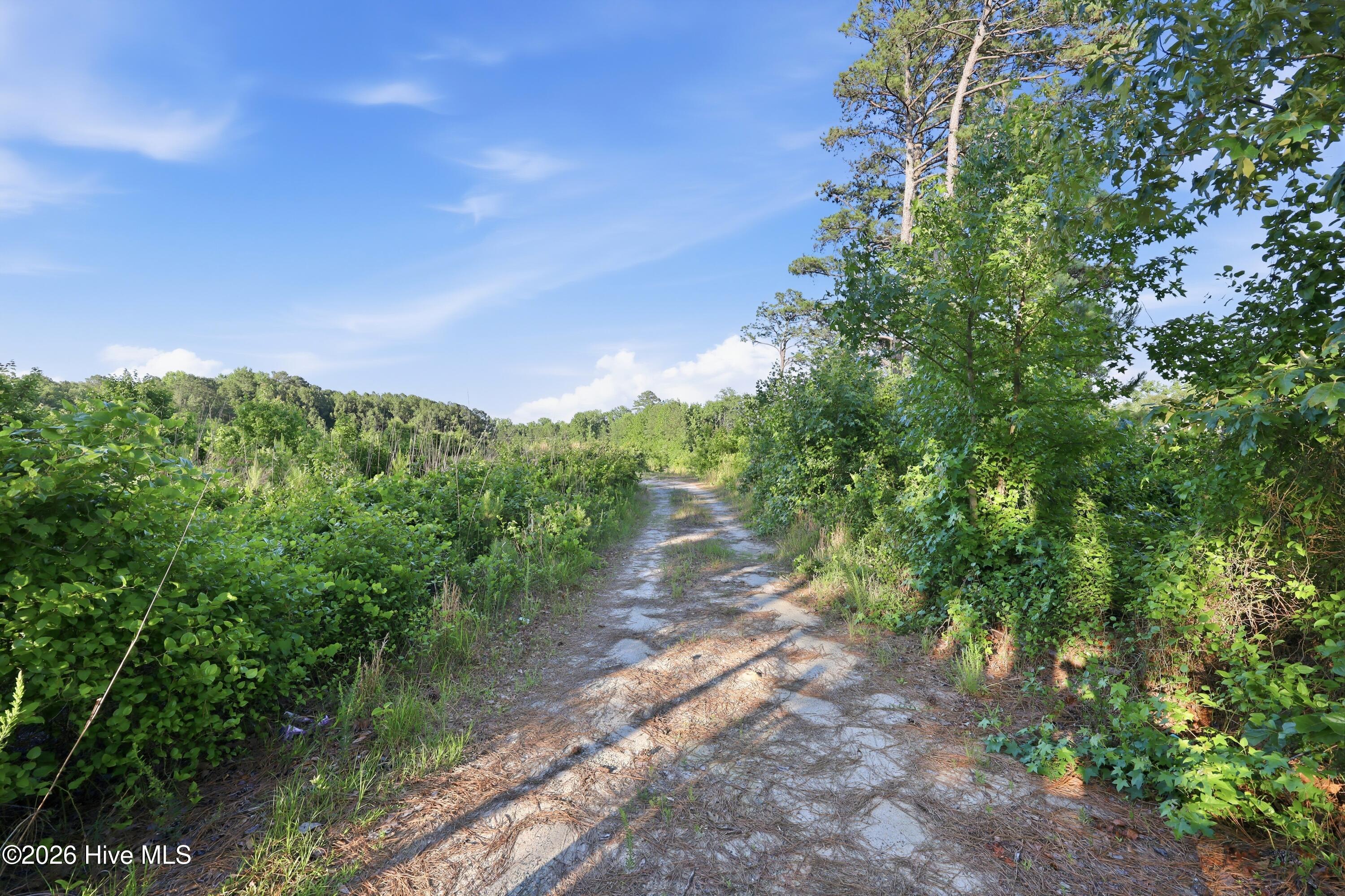 2025 Vass-Carthage Road Carthage, NC 28327 - Photo 10 of 11