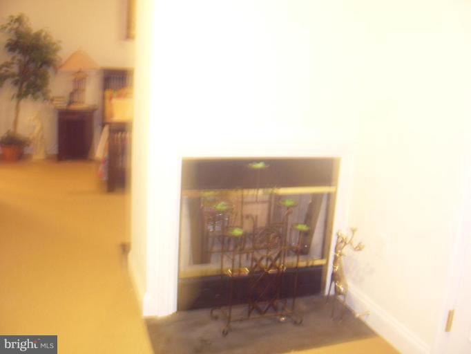 6309 Hickory Bend Road Brandywine, MD 20613 - Photo 20 of 29 Fireplace