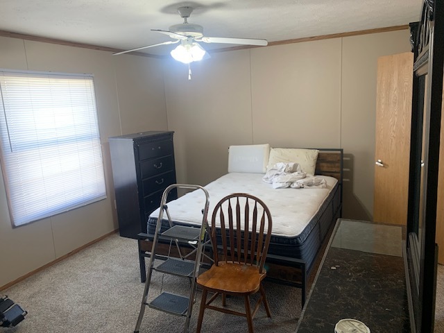11 St George Bourbonnais, IL 60914 - Photo 8 of 12