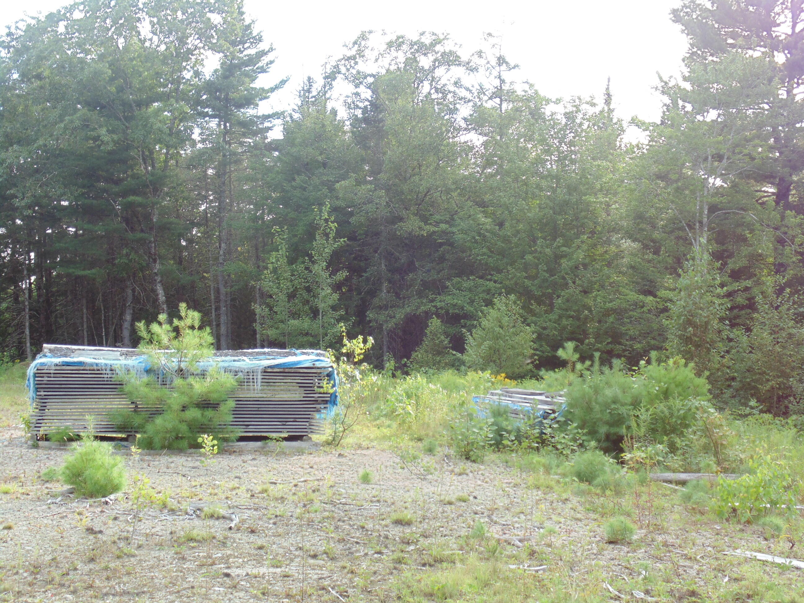 Lot #47 Airline Road Ellsworth, ME 04605 - Photo 13 of 22 DSC08155 - Copy