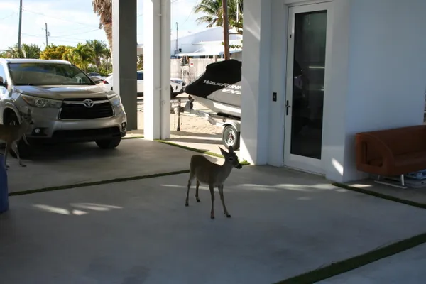 $2,800,000 | 1553 Sunrise Drive, Big Pine Key, FL 33043