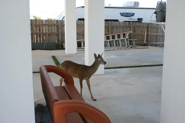 $2,800,000 | 1553 Sunrise Drive, Big Pine Key, FL 33043