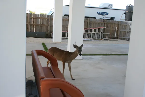 $2,800,000 | 1553 Sunrise Drive, Big Pine Key, FL 33043