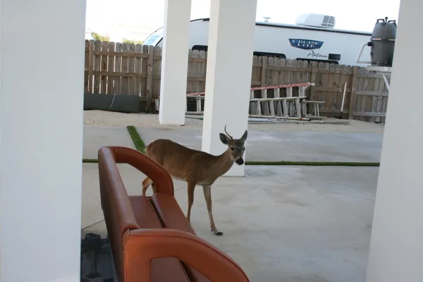 $2,800,000 | 1553 Sunrise Drive, Big Pine Key, FL 33043