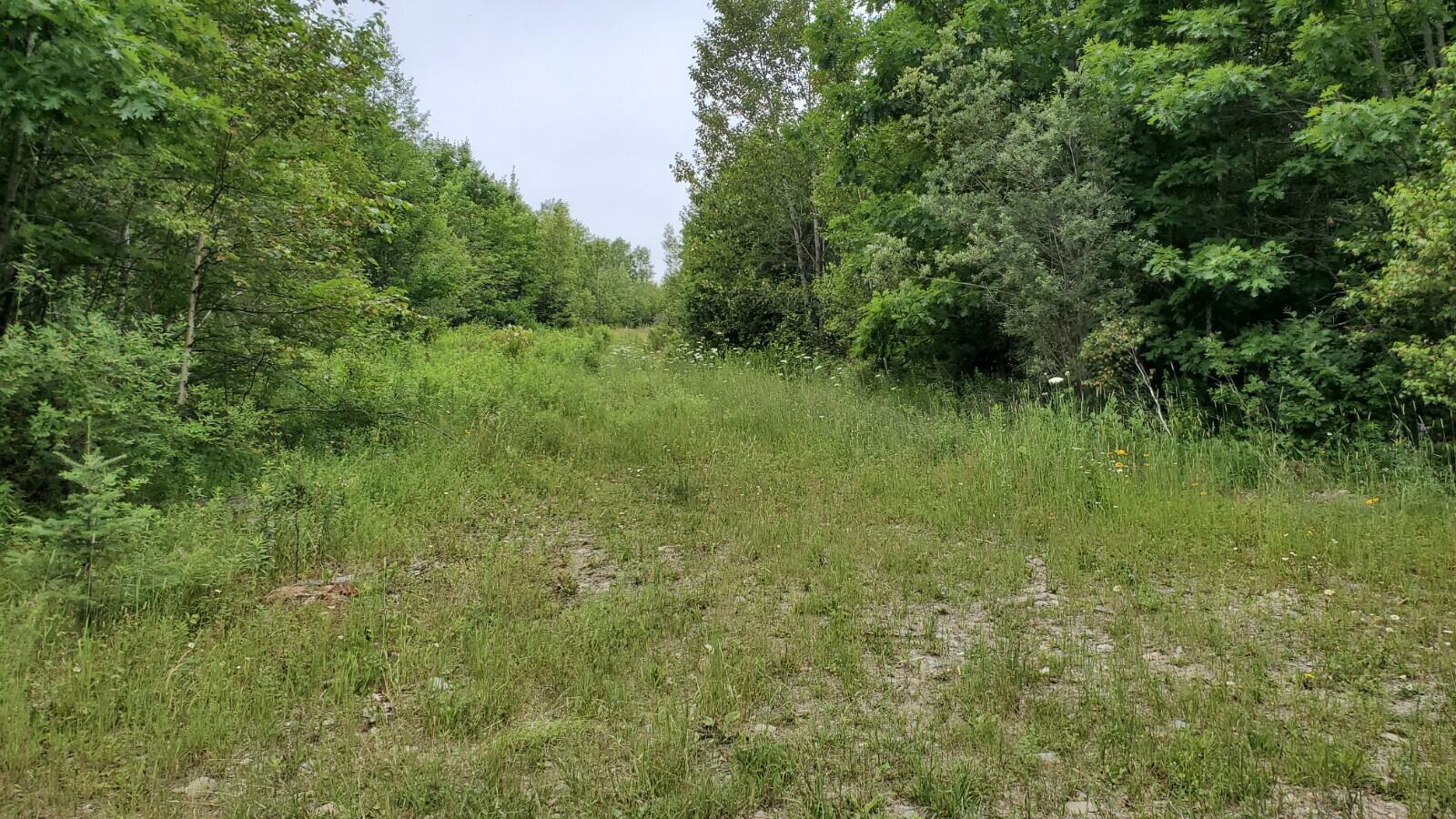 51-5 Mill Hill Road Springfield, ME 04487 - Photo 4 of 5 20210714_104459