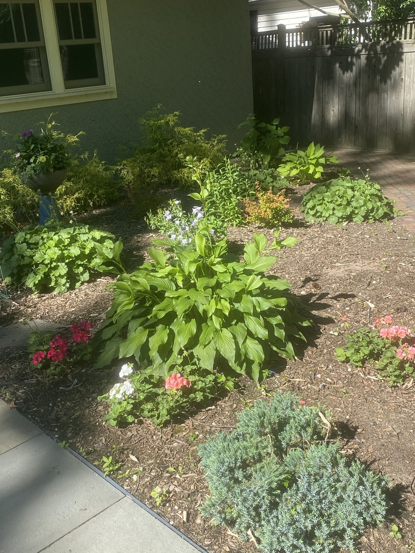 412 Central Avenue Wilmette, IL 60091 - Photo 65 of 69