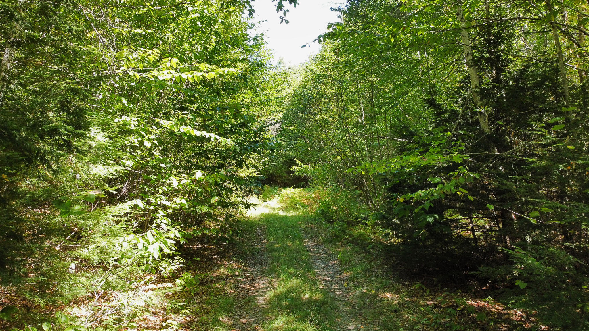 95 Branch Road Wells, ME 04090 - Photo 6 of 23 6