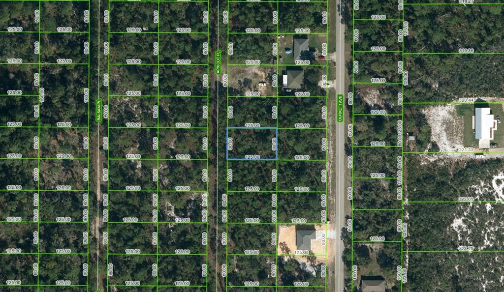 6514 Apricot Road Sebring, FL 33875 - Photo 1 of 1 Gallery Image 1