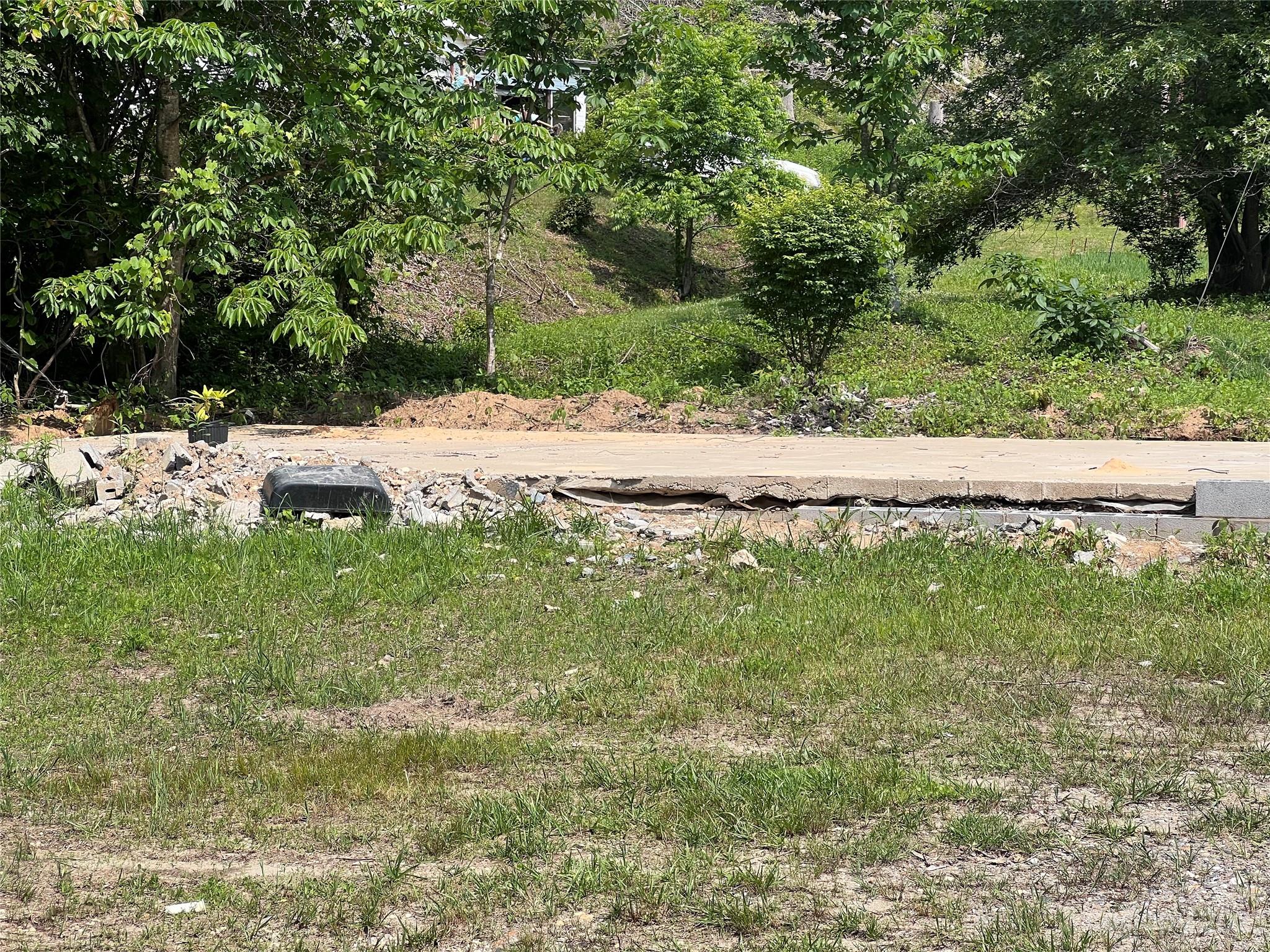 17 Cabbage Patch Road Burnsville, NC 28714 - Photo 2 of 9