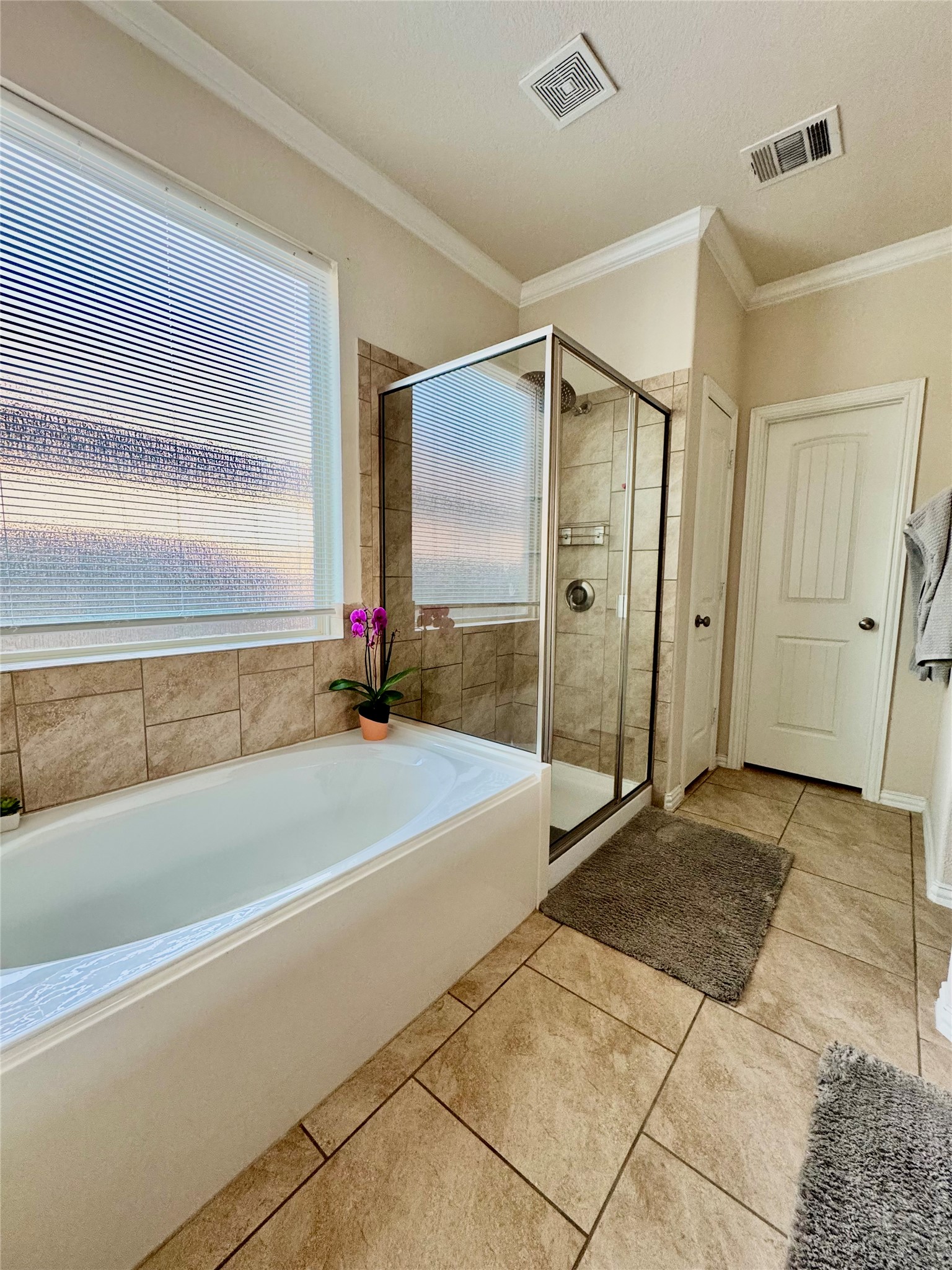 4320 Chestnut Meadows Bend Georgetown, TX 78626 - Photo 29 of 33