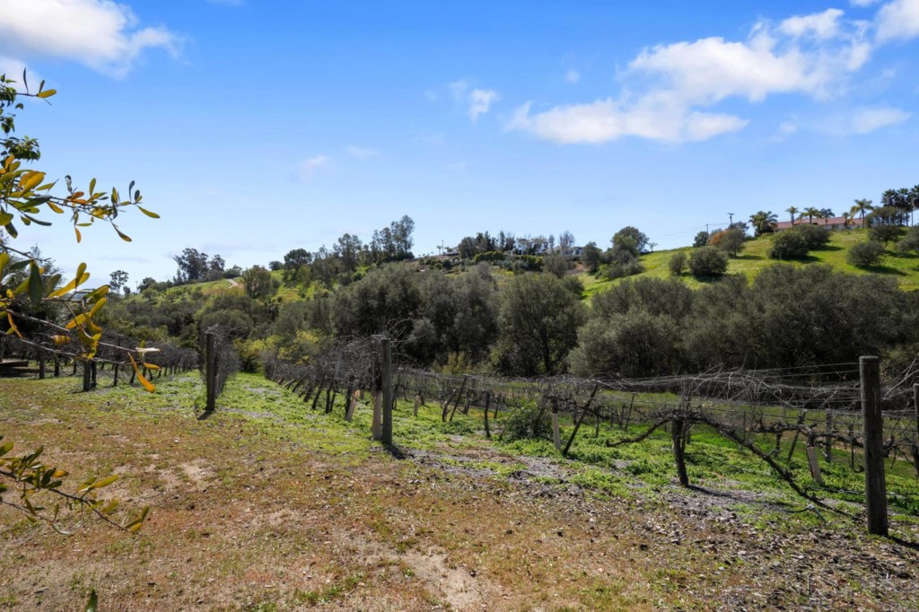 4205 Bridlewood Road Fallbrook, CA 92028 - Photo 55 of 59