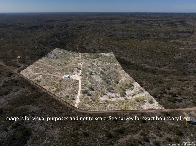 a view of a dry yard with lots of bushes