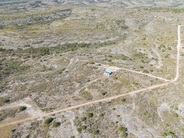 a close up of a plant with marble top