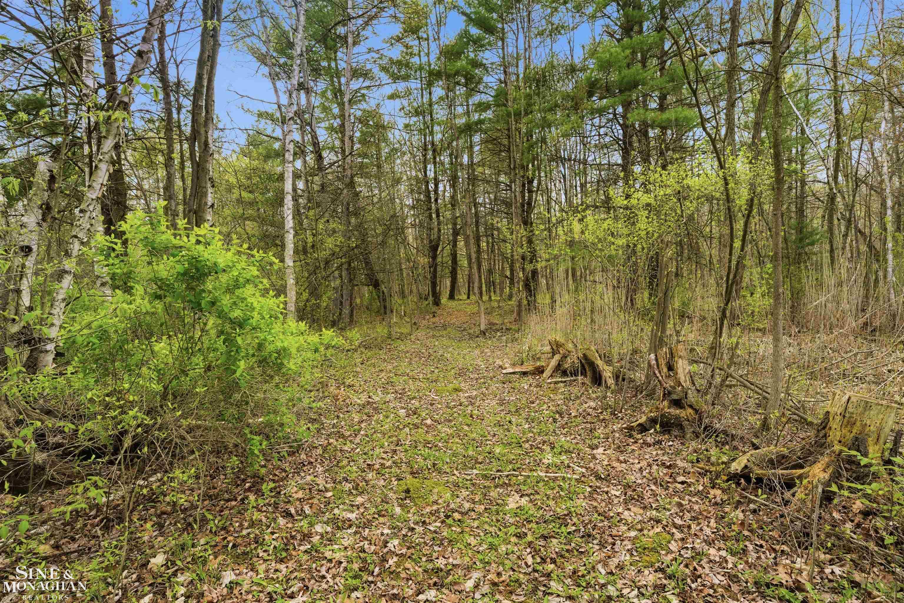 668 South Bartlett Road St. Clair, MI 48079 - Photo 14 of 53