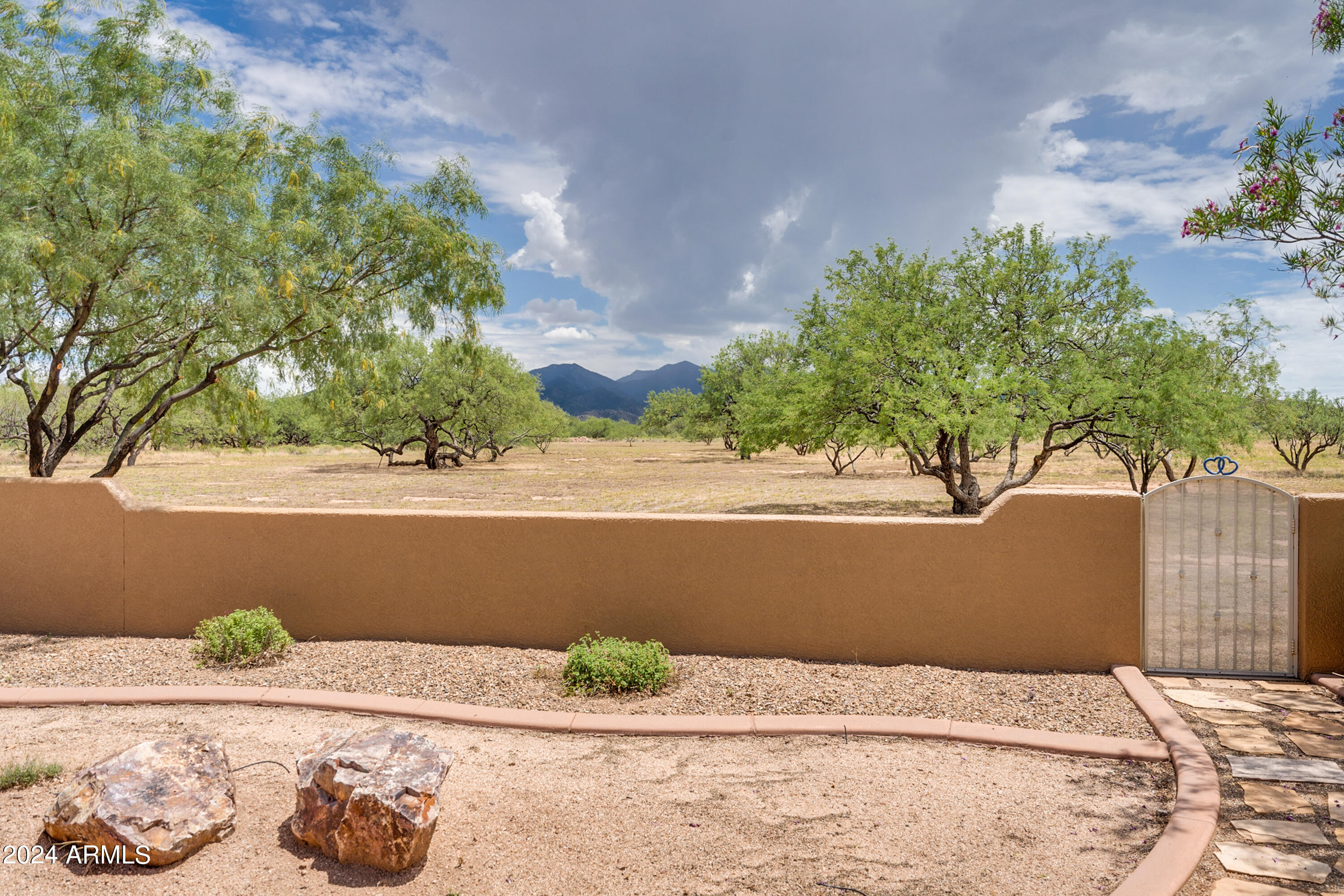 3341 West Horse Ride Loop Benson, AZ 85602 - Photo 35 of 49 Backyard