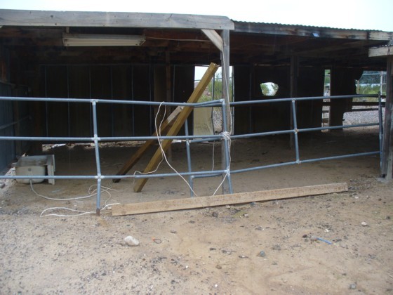 11317 West Yearling Road Peoria, AZ 85383 - Photo 19 of 19 Horse corral