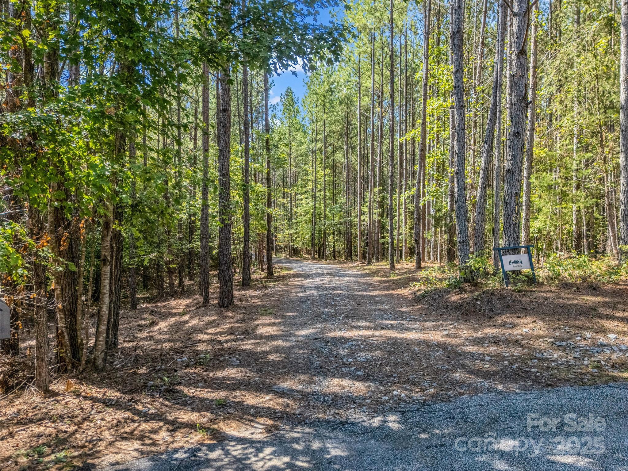 110 Geebees Way Mill Spring, NC 28756 - Photo 35 of 48 a view of a forest with trees