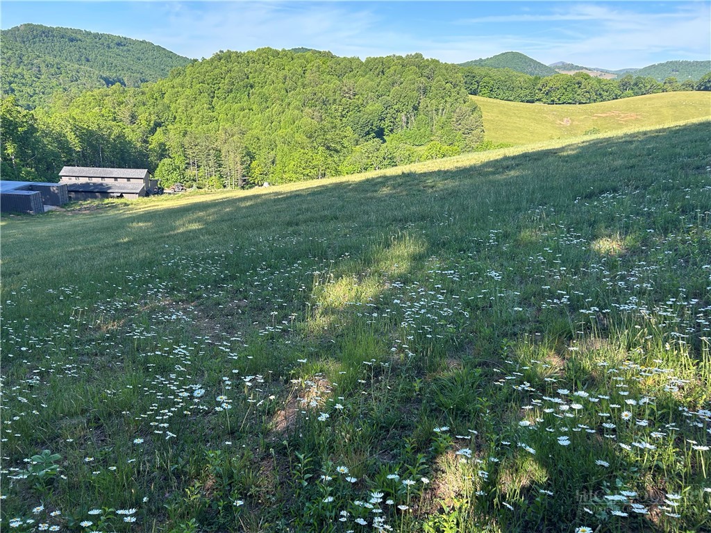 509 Grant Houck Road Todd, NC 28684 - Photo 2 of 43 a view of a green field with an ocean view
