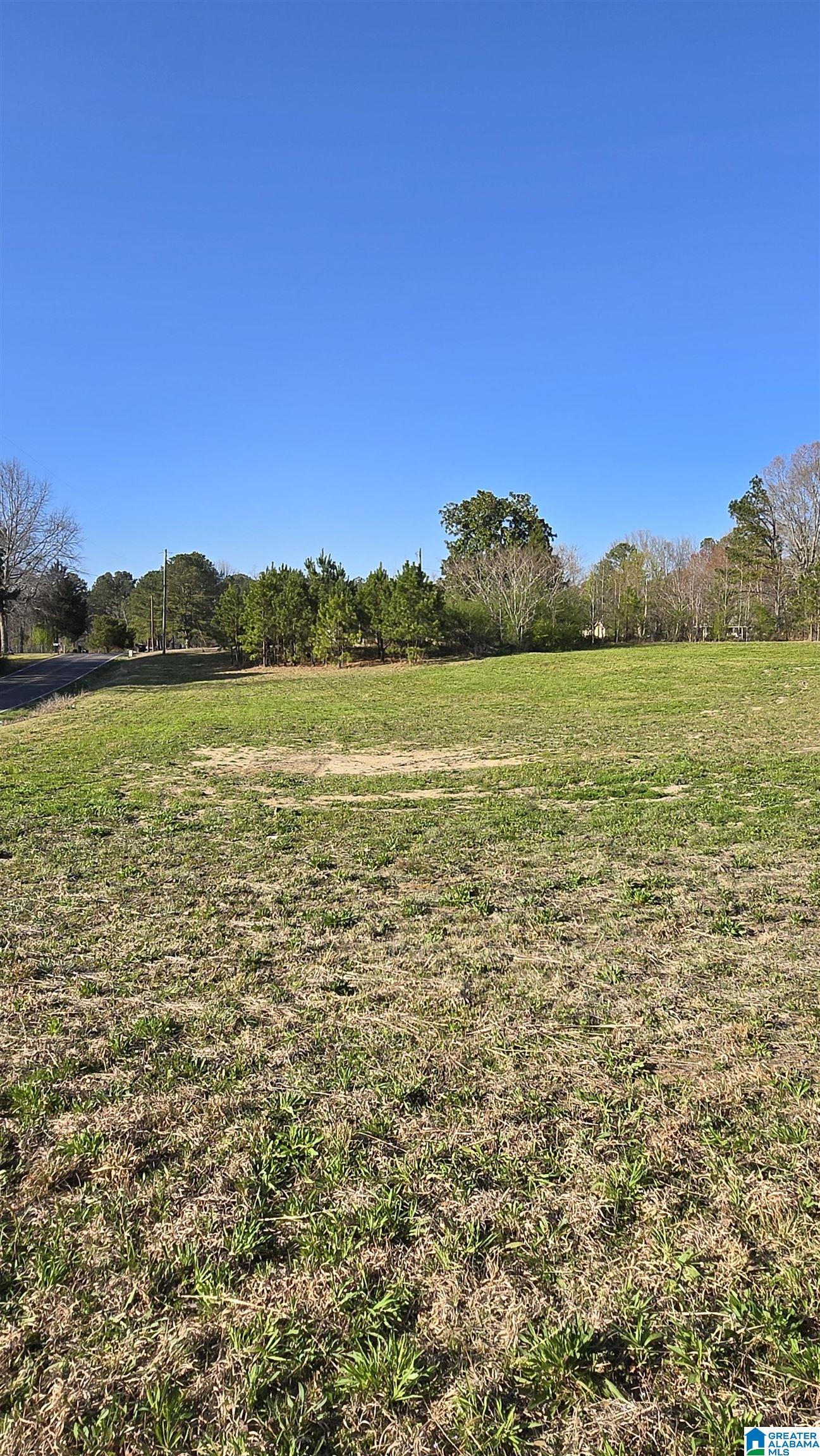 5041 Bryson Road Dora, AL 35062 - Photo 3 of 6