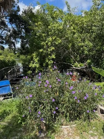 a view of a backyard with lawn chairs and a fire pit