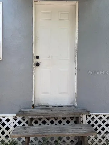 a view of backyard with potted plants and a large tree