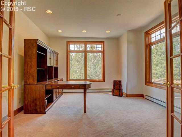 800 Elk Ridge South Divide, CO 80814 - Photo 17 of 36