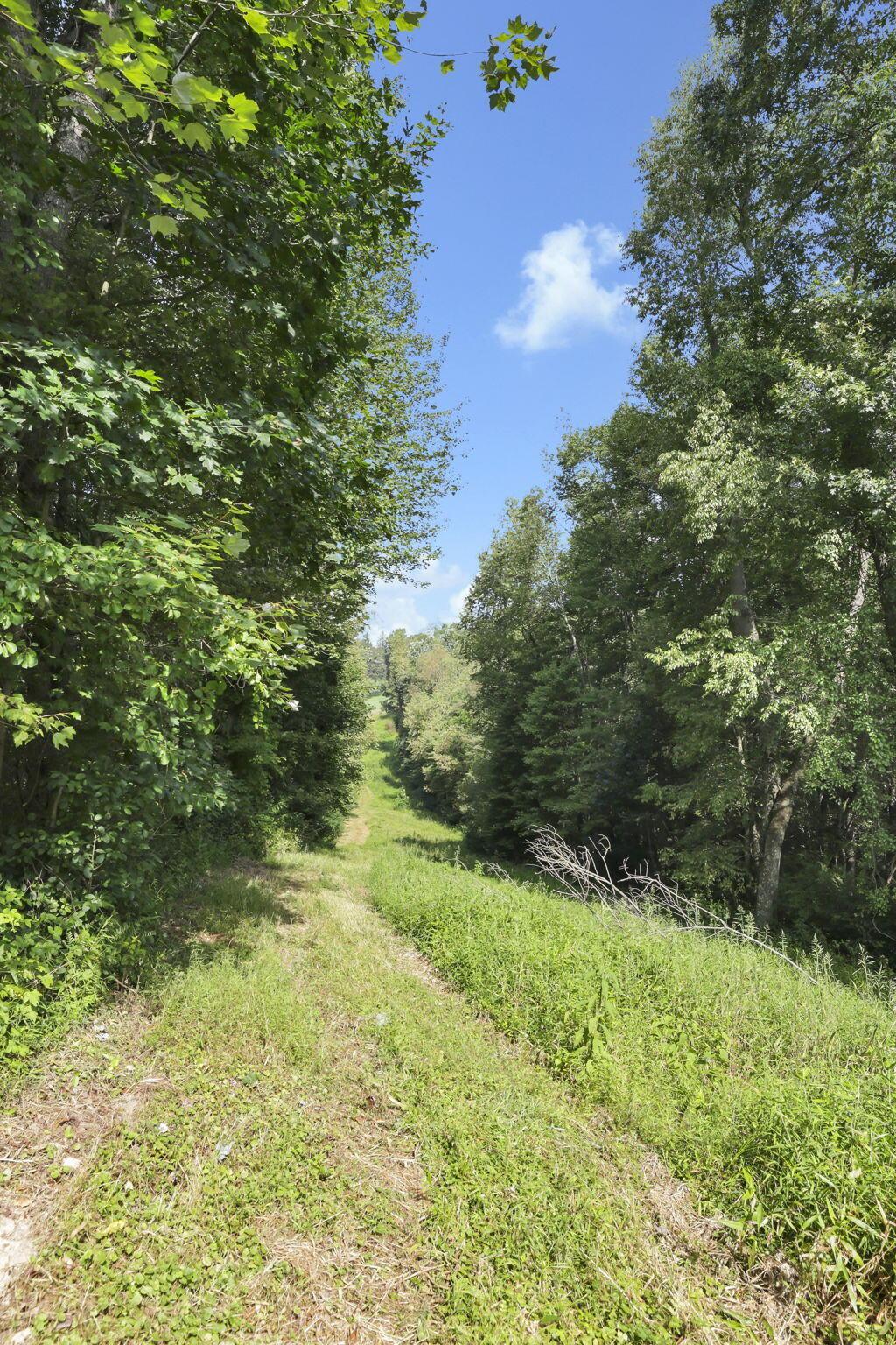 0 Cambridge Road Coshocton, OH 43812 - Photo 26 of 54 22-web-or-mls-011A1883