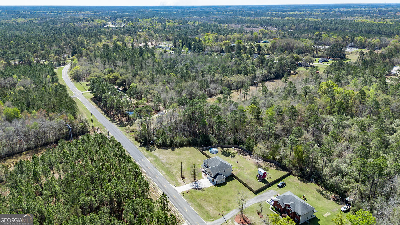 353 Palmer Road Ludowici, GA 31316 - Photo 46 of 52