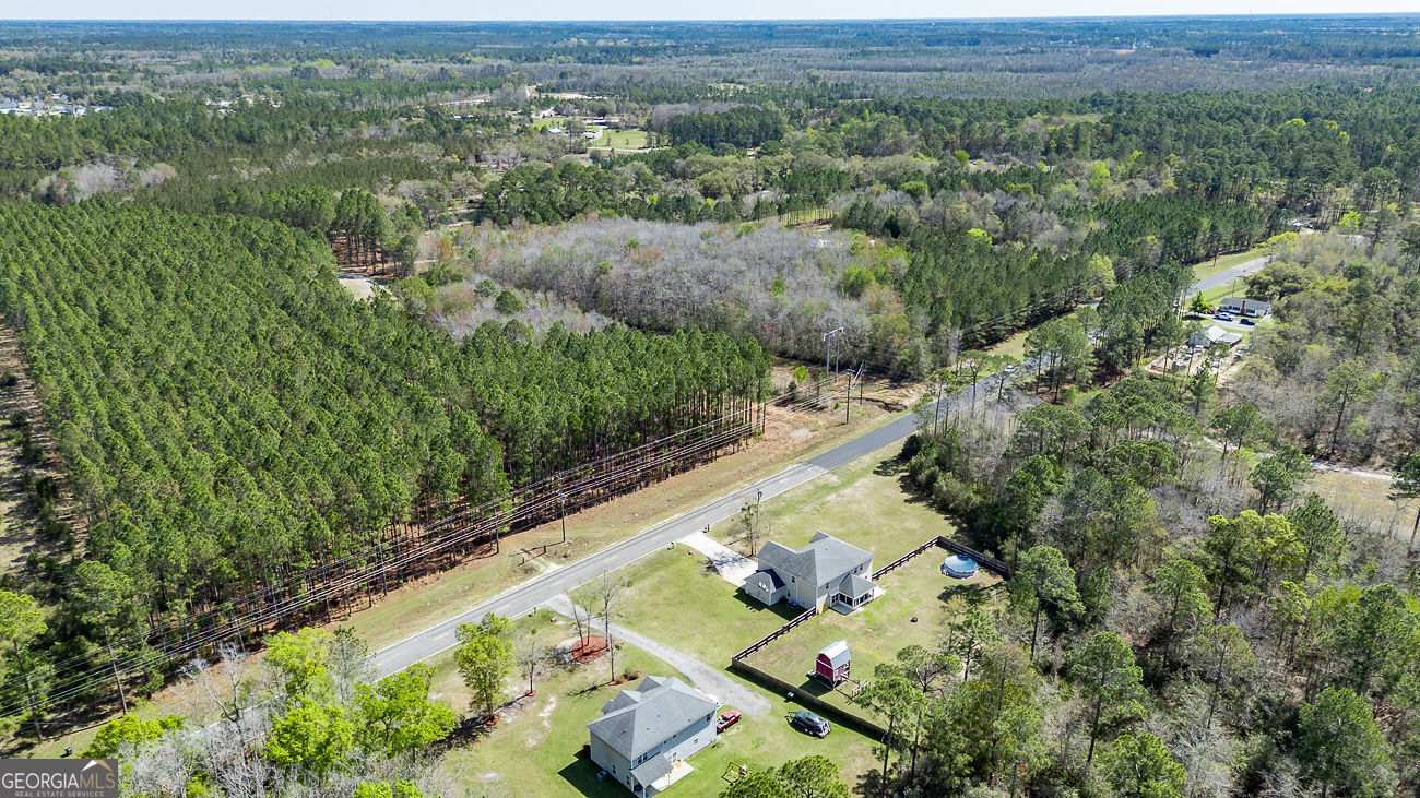 353 Palmer Road Ludowici, GA 31316 - Photo 48 of 52